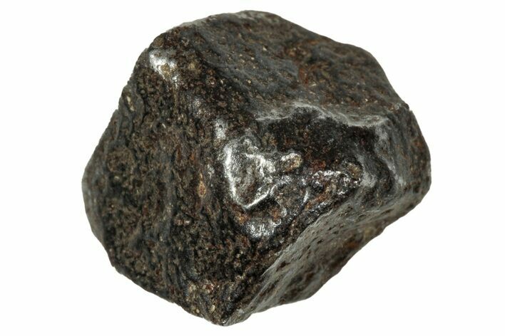 Gibeon Iron Meteorite ( g) - Namibia #336082